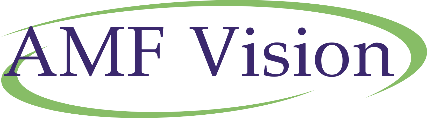 AMF Vision AMF Vision